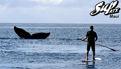 maui-whale-sup-atx-ross