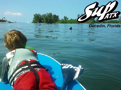 dunedin-florida-dolphin-sup-atx