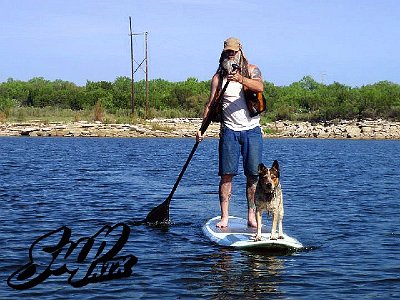 texas-panhandle-dog