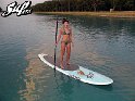 paddle-board-cat-kitten