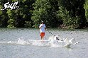 paddle-board-swans